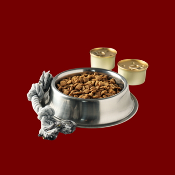 Pet Supplies